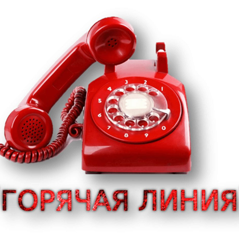 16.05.2025 «Горячая линия»